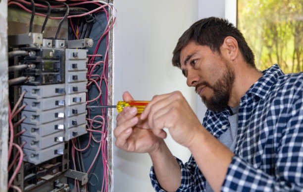 Best Residential Electrician Services  in Springville, NY
